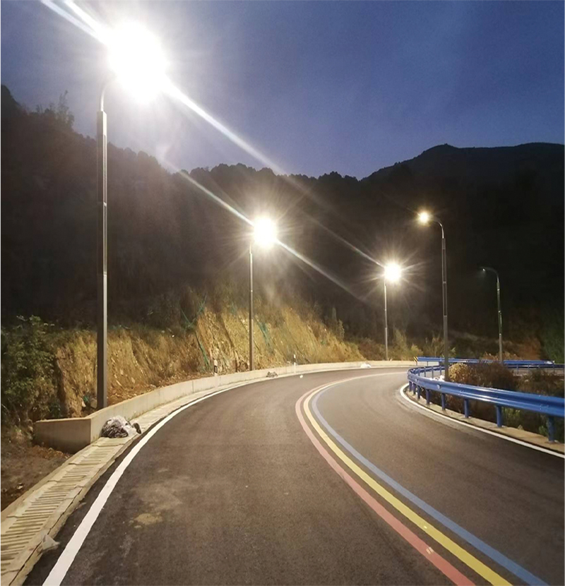 60W LED Solar Street Light With Solar Wrap Frame On Pole 2FSG056-NEWLIGHT ENERGY