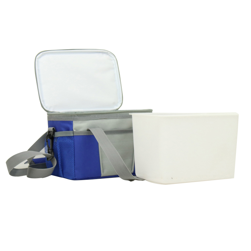 Cooler Bag with Hard Liner, Collapsible Cooler Bag Leak-Proof Thermal Cooler