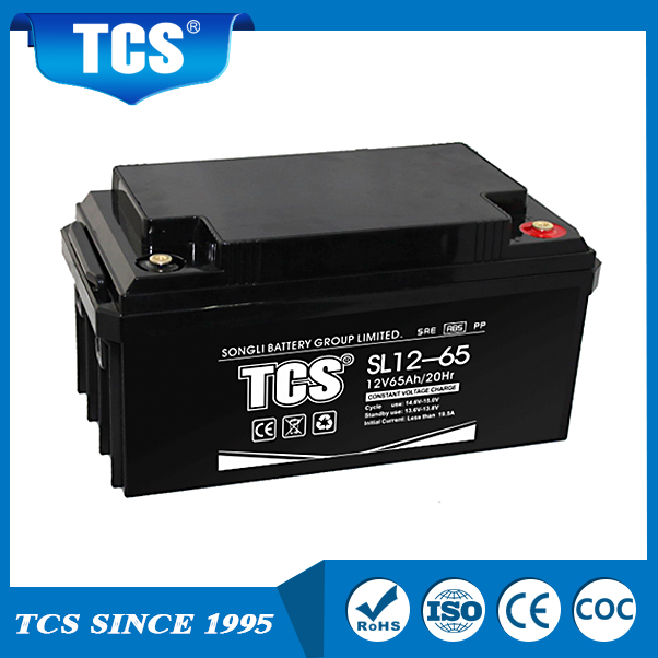 Lead Acid UPS Storage Solar Battery SL12-65 TCS Battery