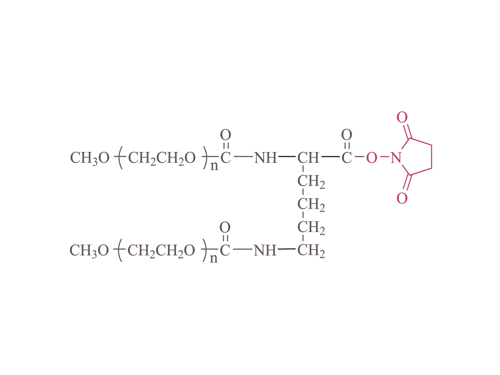 2-arm Methoxypoly(ethylene glycol) succinimidyl ester(LYS01) [2-arm PEG-NHS(LYS01)]