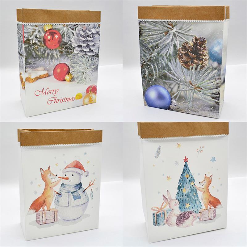 New Idea and New Finishing Paper Bag with Xmas Design