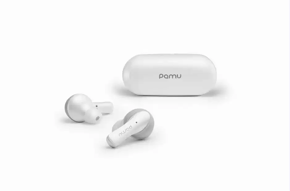 PaMu Slide Mini Bluetooth 5.0 True Wireless Earphone with Wireless Charging Case