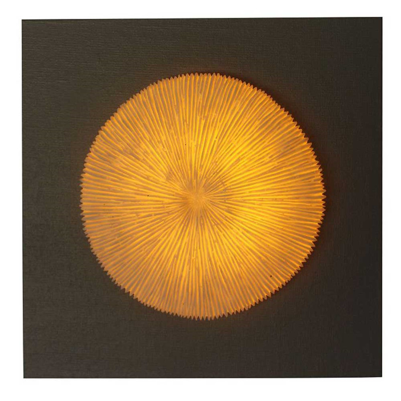 Wall Art Ribbed Coral MDF Wood Plaque With Led Light