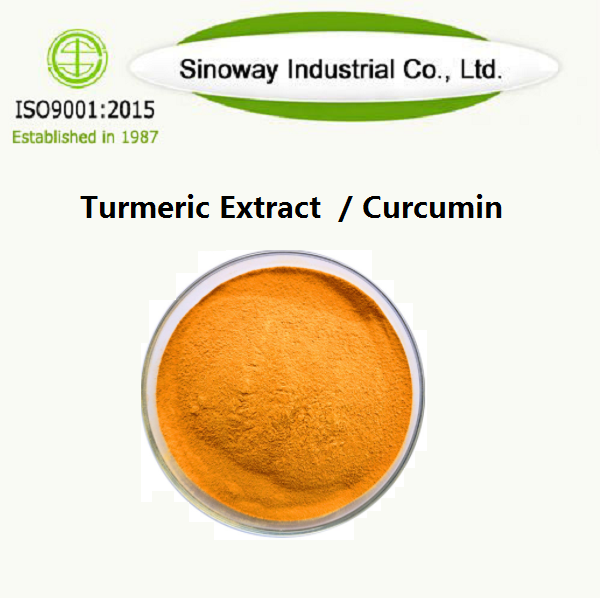 Turmeric Extract  / Curcumin
