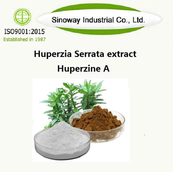 Huperzia Serrata extract / Huperzine A 102518-79-6