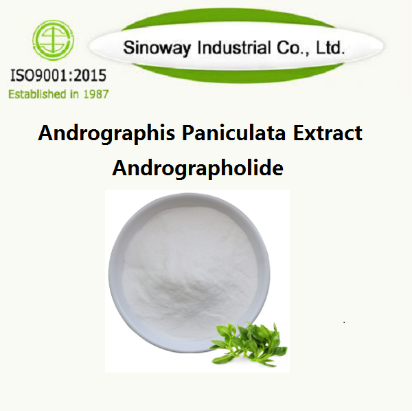 Andrographis Paniculata Extract / Andrographolide