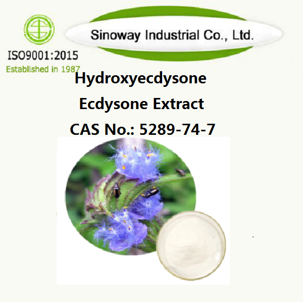 Hydroxyecdysone；Ecdysone Extract β-ecdysone 5289-74-7