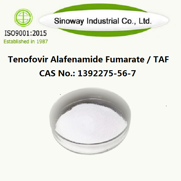 Tenofovir Alafenamide Fumarate / TAF 1392275-56-7