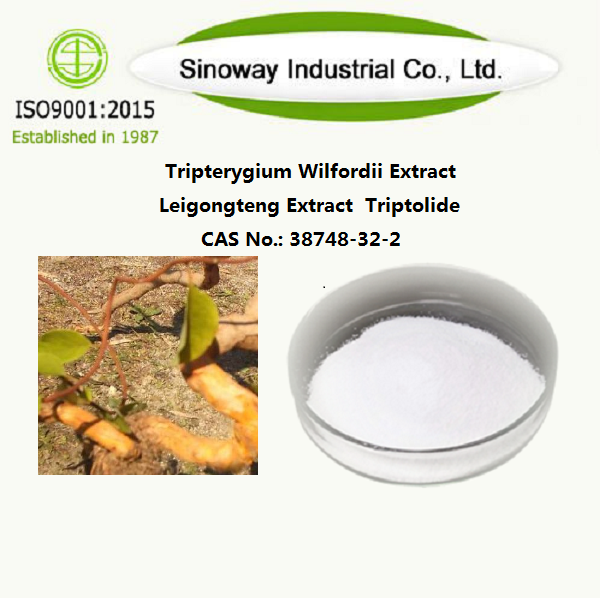 Tripterygium Wilfordii Extract / Leigongteng Extract / Triptolide 38748-32-2