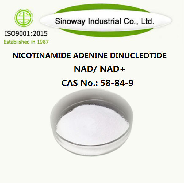 Nicotinamide Adenine Dinucleotide NAD 53-84-9