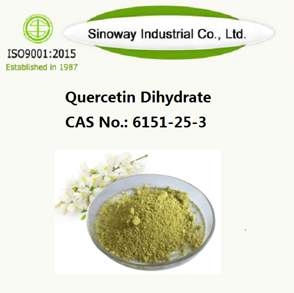Quercetin Dihydrate 6151-25-3