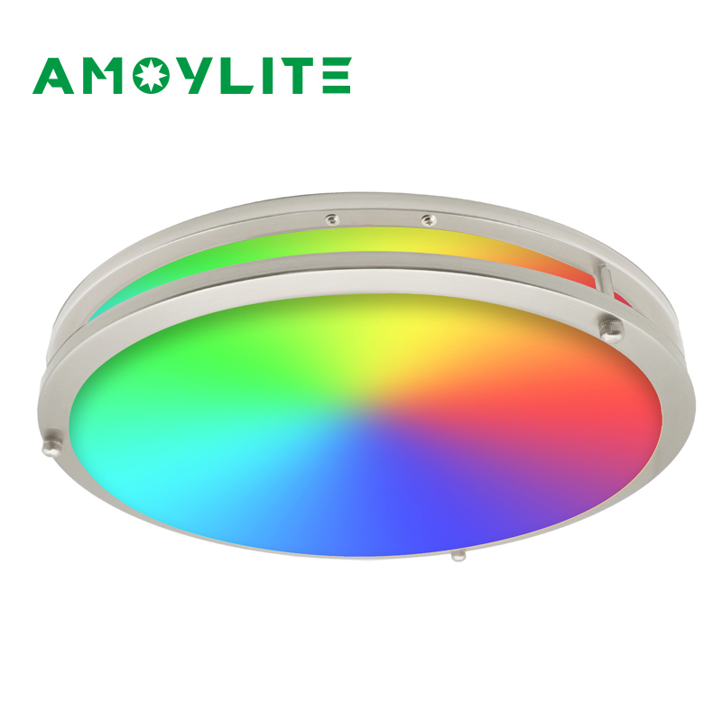 WIFI Tuya Smart Ultra-thin Double Ring LED Ceiling Light