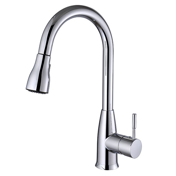 Stainless kitchen faucet with pull down faucet spray head