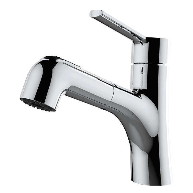 Single Handle Pull Out Lavatory Faucet