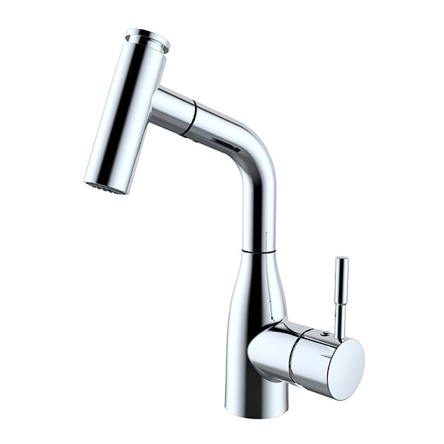 Elegant Lavatory Sink Faucet with Pull-out Hand Spray
