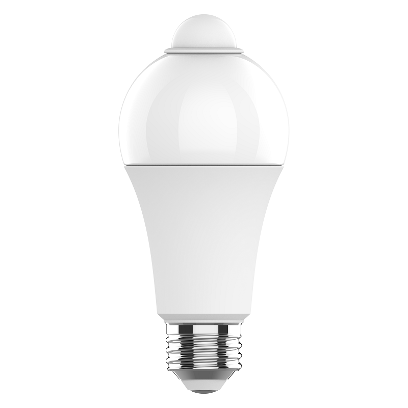 A21 Bulb Induction bulb,12W,5000K,E26