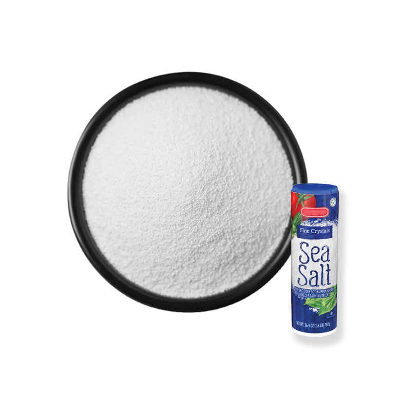 Sea Salt Powder for Salty Popcorn Coating Sugar for Snack Foods